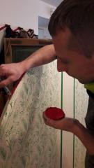 Repair CAfe Vojnik_20